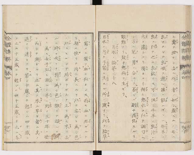 K0087s0221