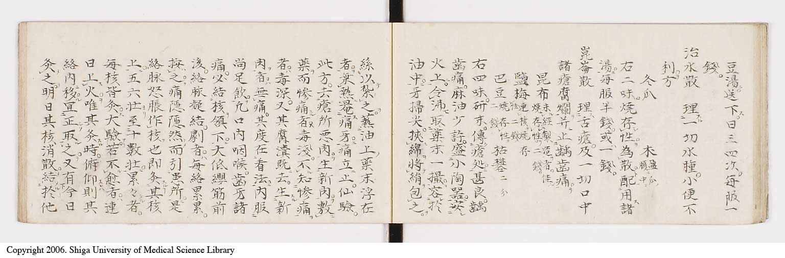 K0088l0019