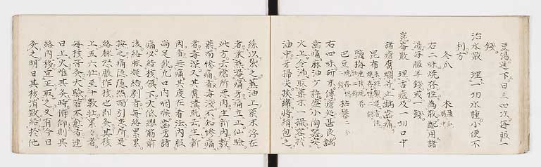 K0088s0019