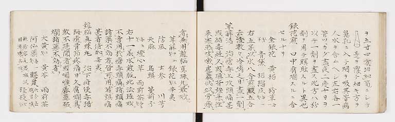 K0088s0028