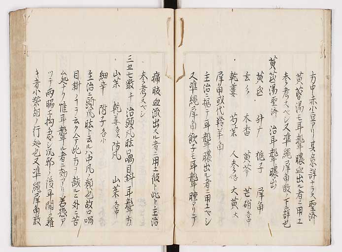 K0089s0017