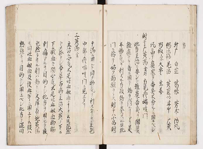 K0089s0020