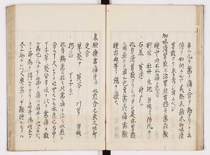 K0089s0026