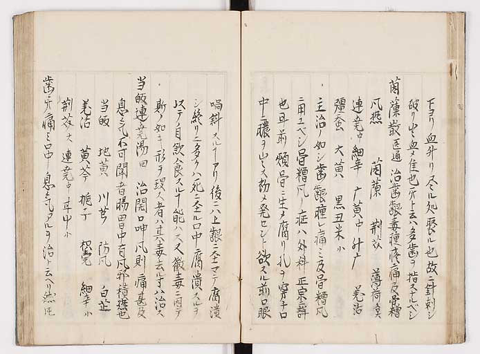 K0089s0027