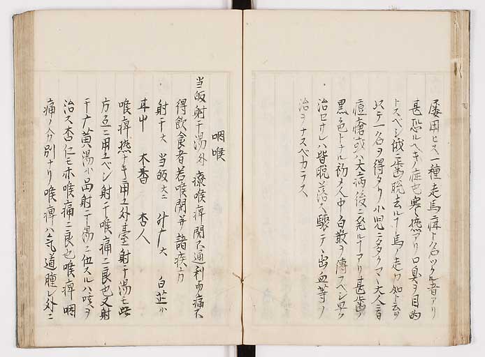 K0089s0028