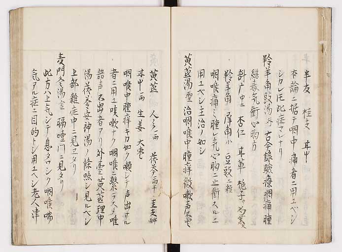 K0089s0031