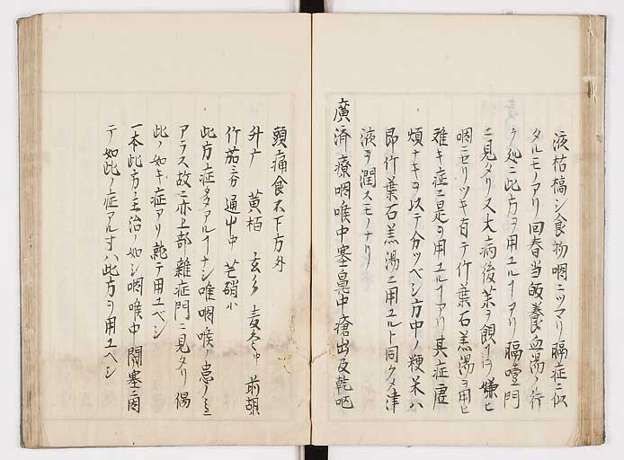 K0089s0032