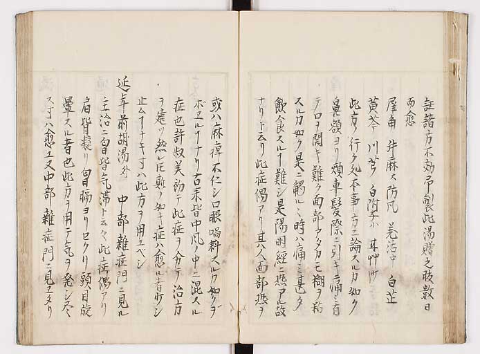 K0089s0036