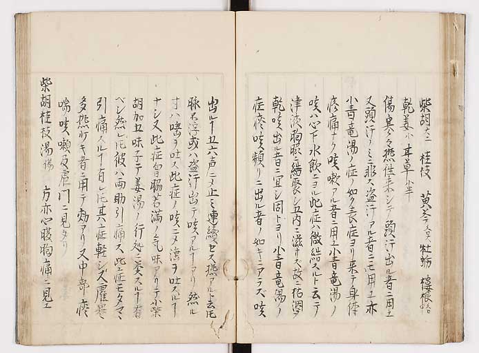 K0089s0045