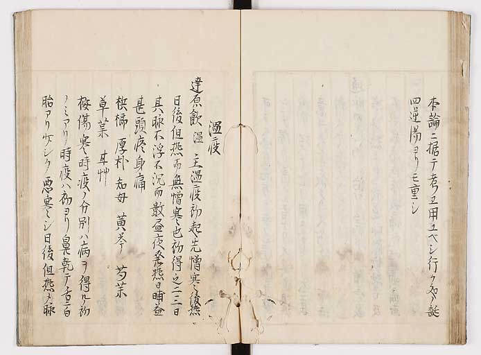 K0089s0061