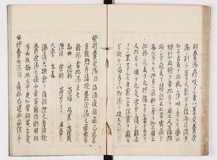 K0089s0081