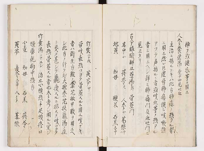 K0089s0096