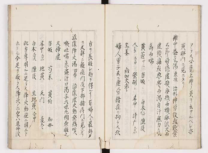 K0089s0100