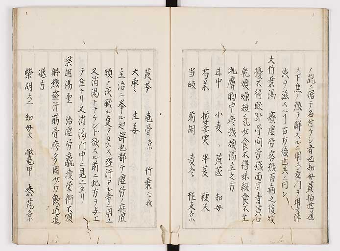 K0089s0101