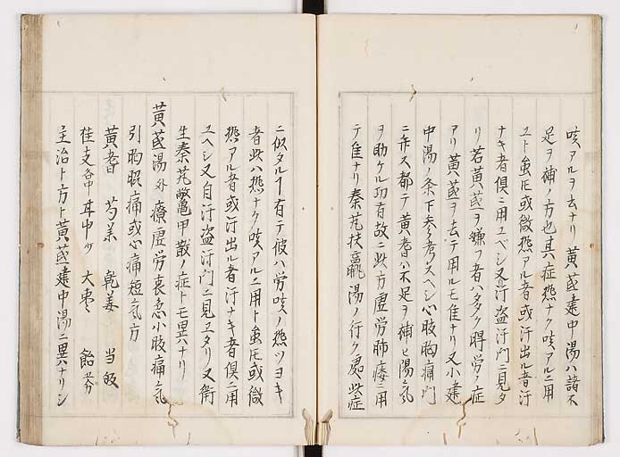 K0089s0104
