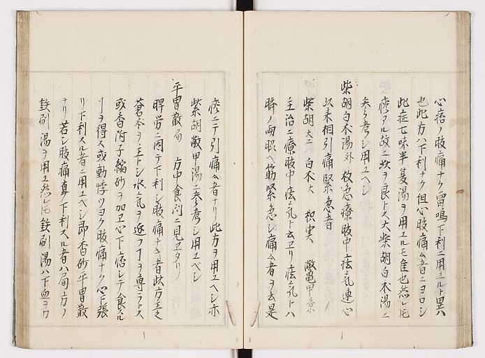 K0089s0116