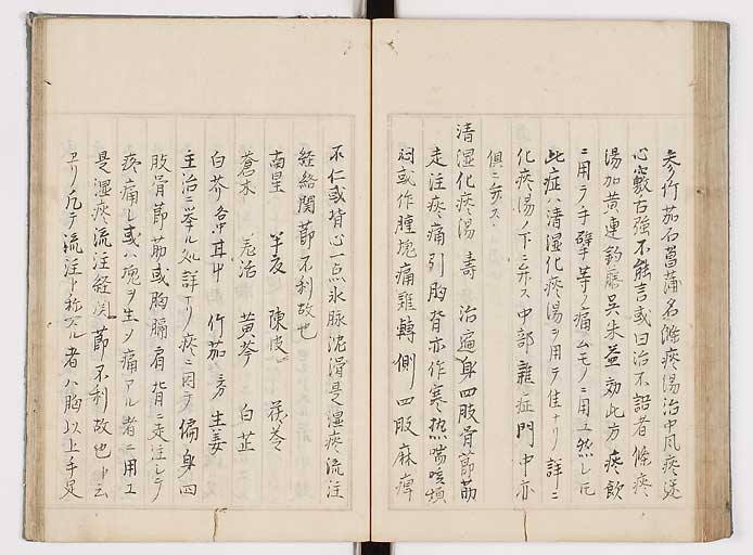 K0089s0233