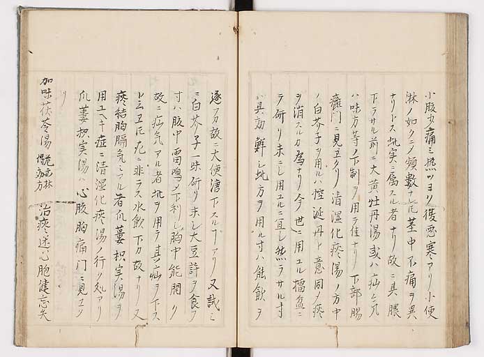 K0089s0235