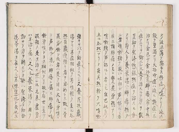 K0089s0256