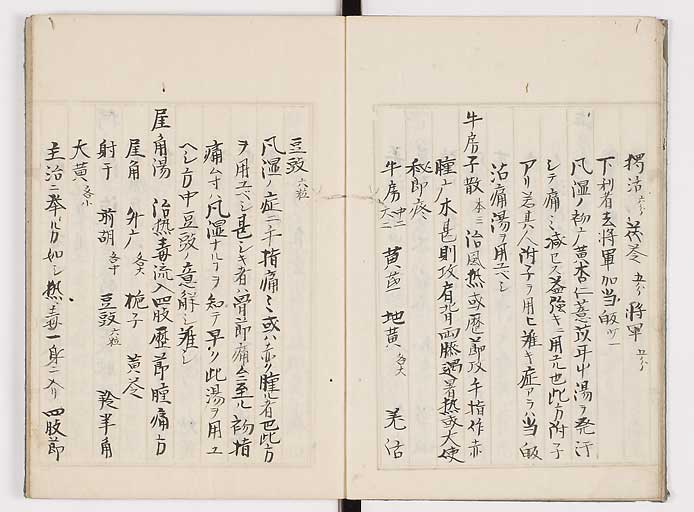 K0089s0271