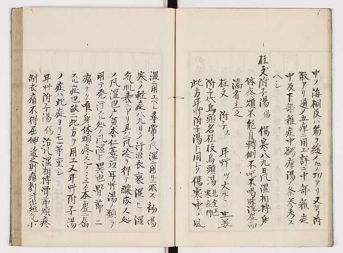 K0089s0273