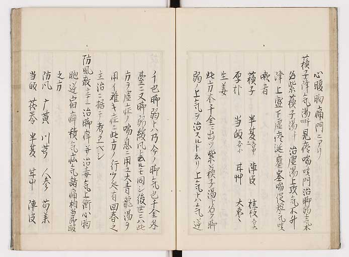K0089s0286