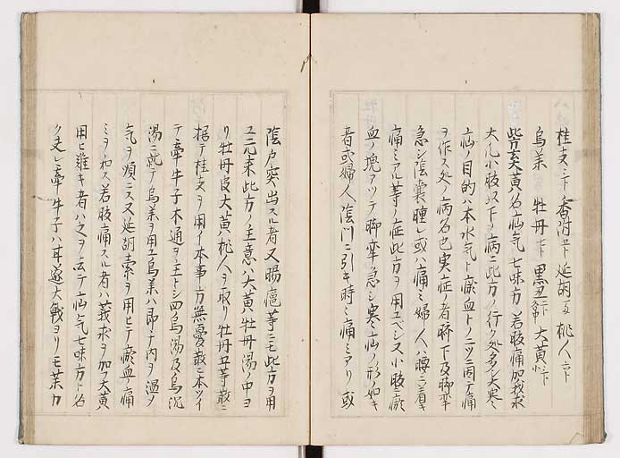 K0089s0297
