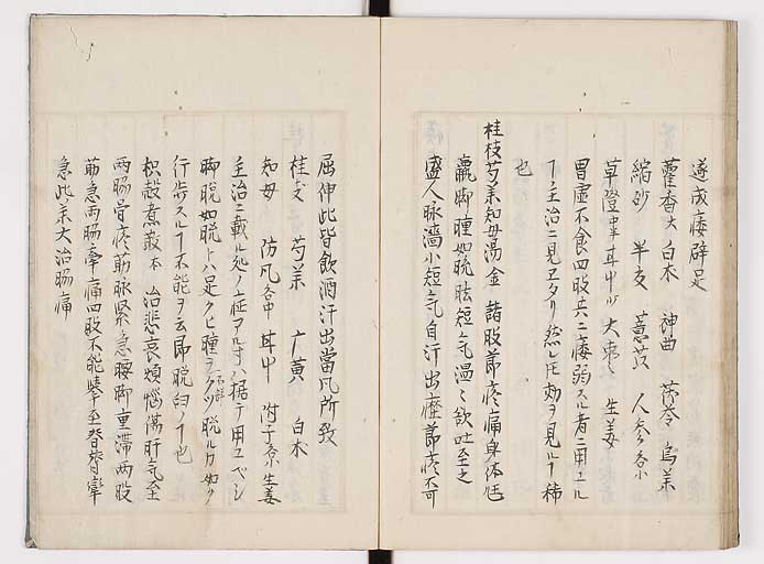 K0089s0334