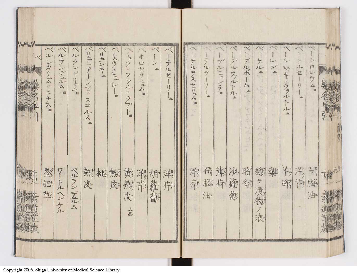 K0090l0038