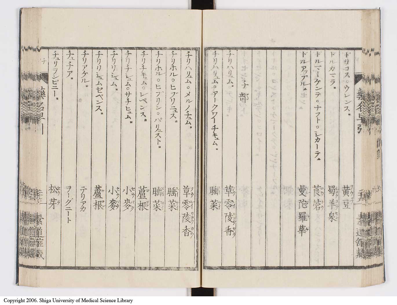 K0090l0041