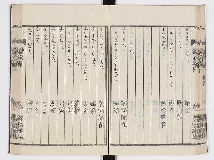 K0090s0041