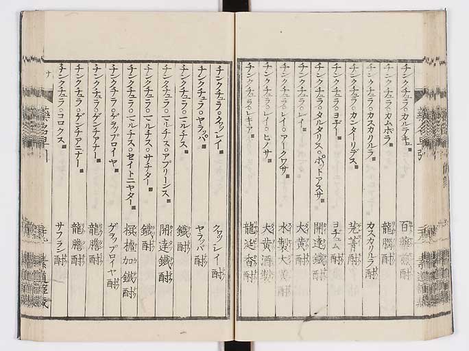 K0090s0043