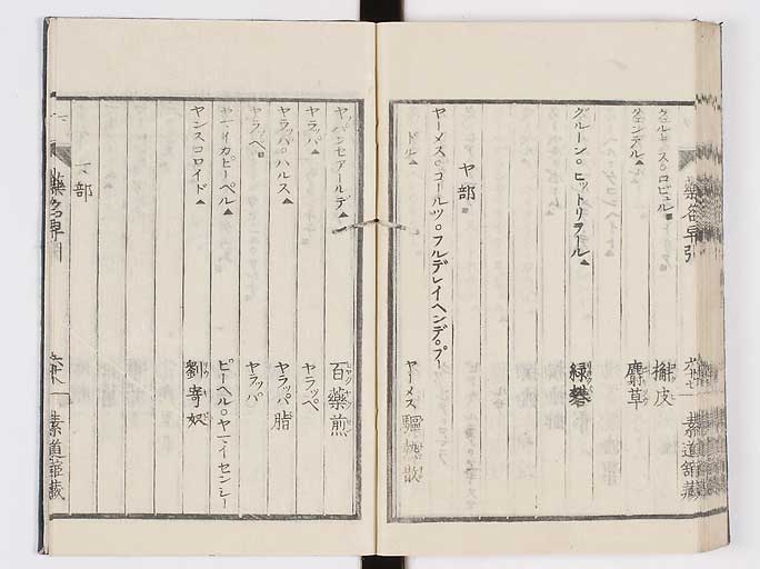 K0090s0082