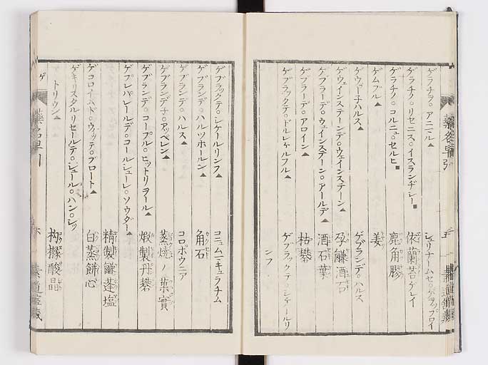 K0090s0093