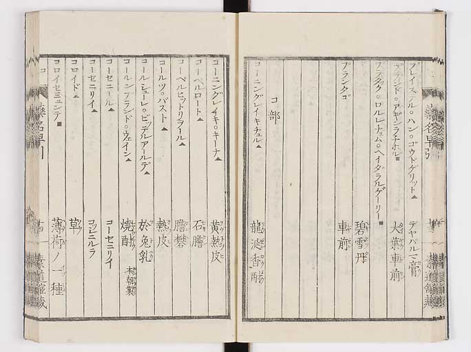K0090s0101