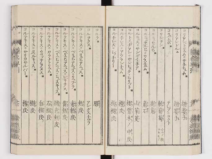 K0090s0103