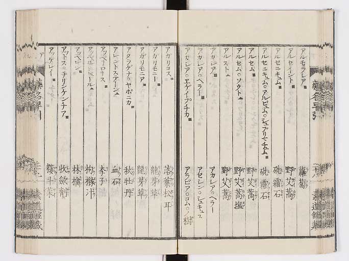 K0090s0116