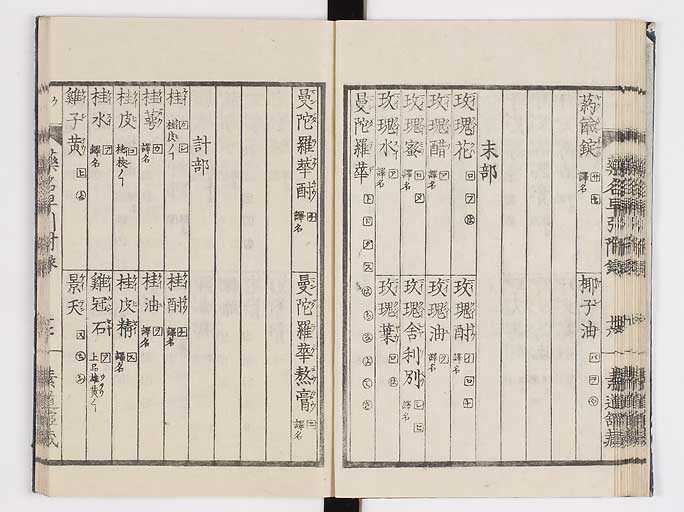 K0090s0196