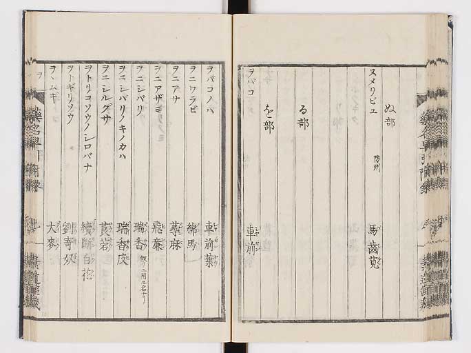 K0090s0219
