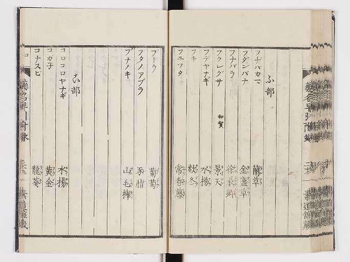 K0090s0233