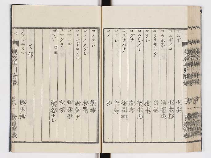 K0090s0234