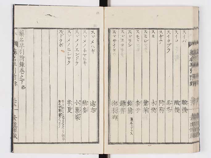 K0090s0243