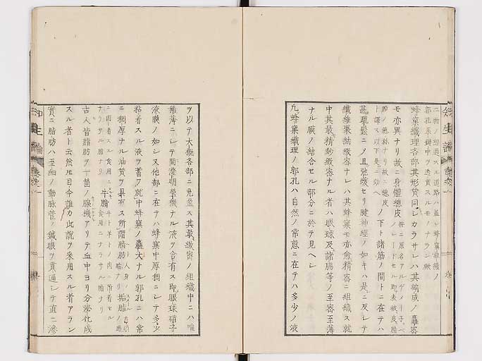 K0092s0047