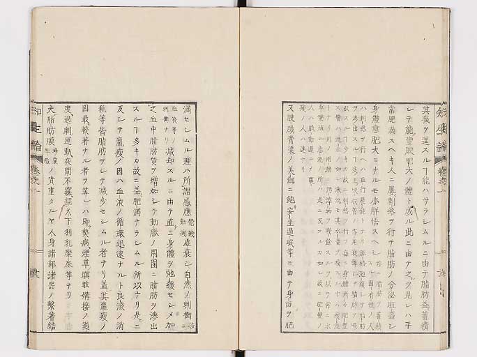 K0092s0049