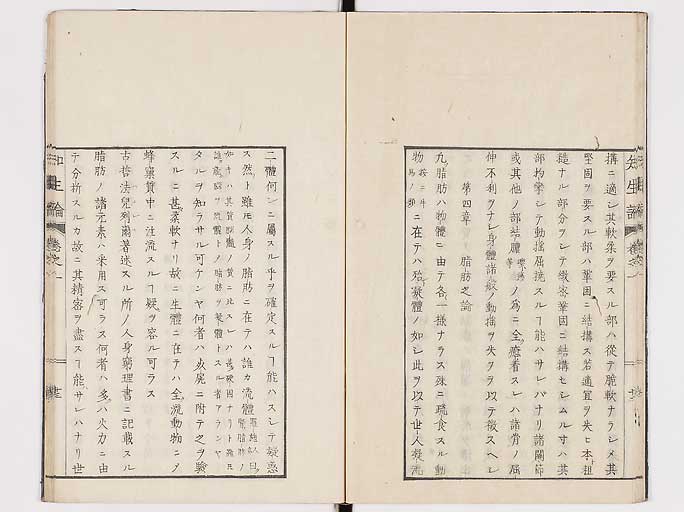K0092s0050