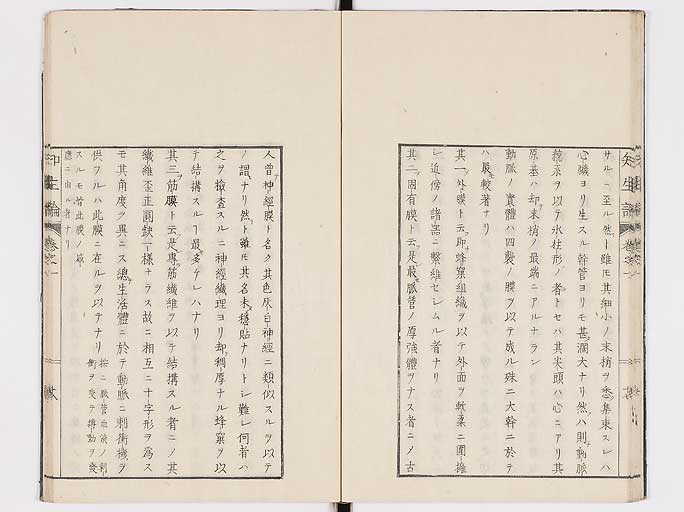 K0092s0055