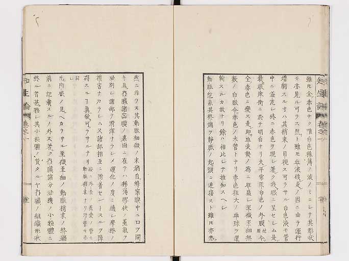 K0092s0058