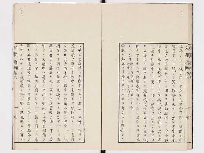 K0092s0059