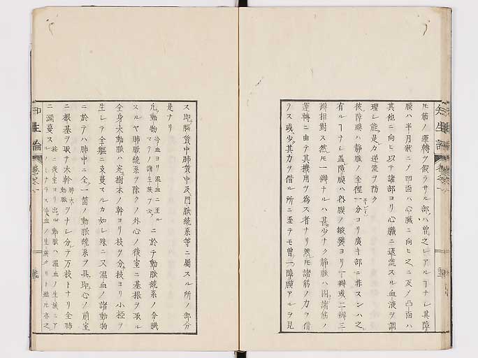 K0092s0061