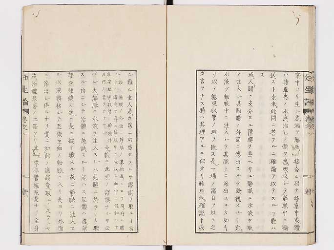 K0092s0063